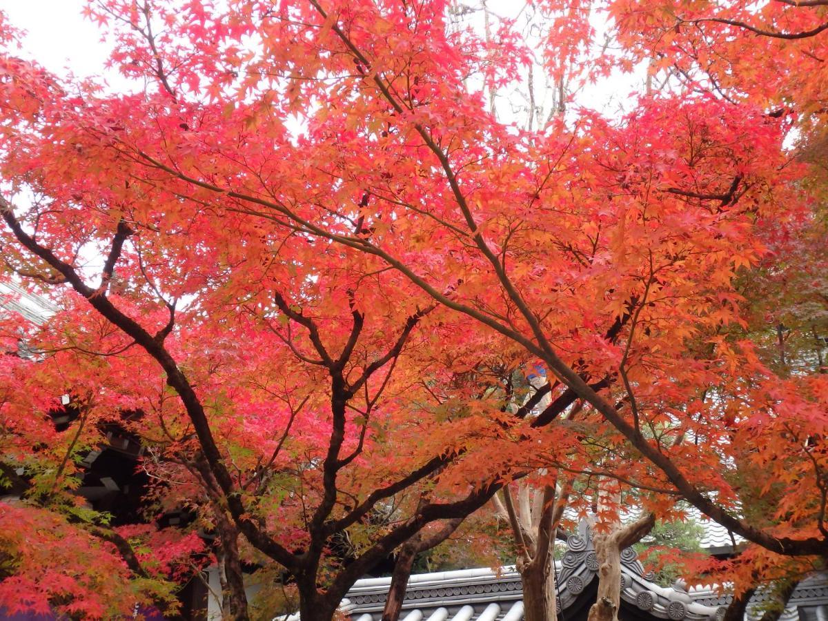 Kyo No Yado Nishioji Hotel Quioto Exterior foto